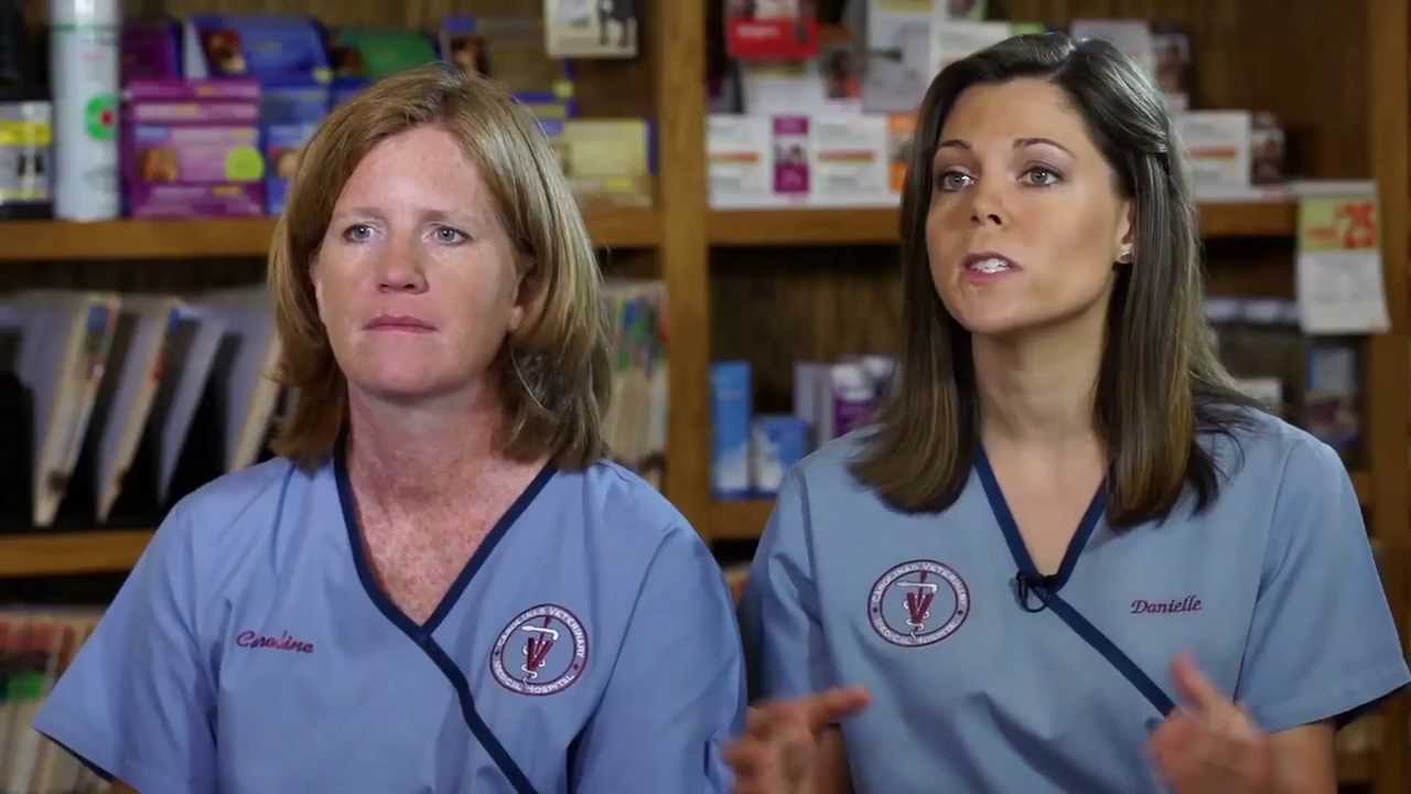 Veterinarians share why they love Vets First Choice.