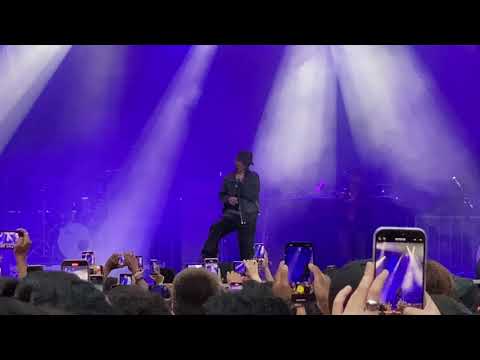 DPR LIVE - Jasmine (Live at LOLLAPALOOZA)