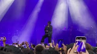 DPR LIVE - Jasmine (Live at LOLLAPALOOZA)