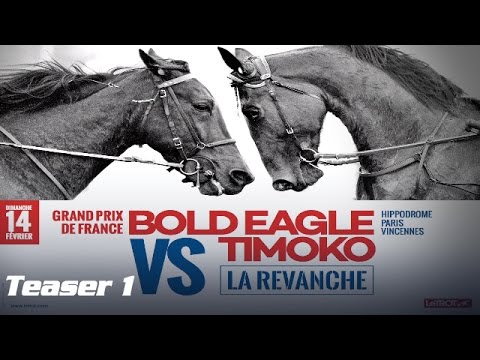 Bold Eagle VS Timoko, La revanche du Prix d'Amérique Opodo au #GPFrance - Teaser 1