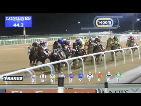 Dubai World Cup 2016 Final Race #DubaiWorldCup #Meydan #mydubai