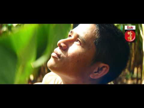 ドンヤ・ビジェラについて詳しく解説