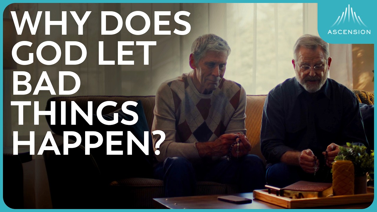 Teresa Seale - Latest Work