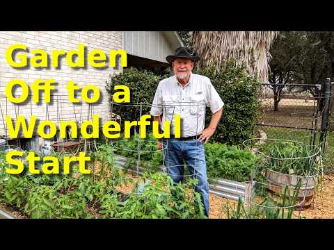 End of February Garden Tour at Deep South Texas