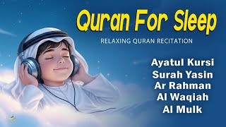 Relaxing Quran For Sleep And Your All Problems Solve | By Alaa Aqel |  Relaxing - Holy Quran