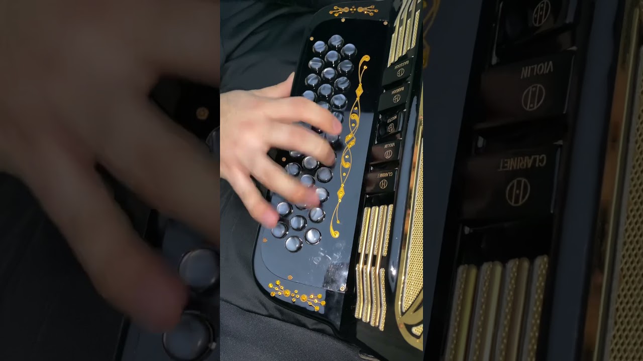 El popeye legado 7 acordeon #regionalmx #acordeon #corridos #norteño #regionalmexicano