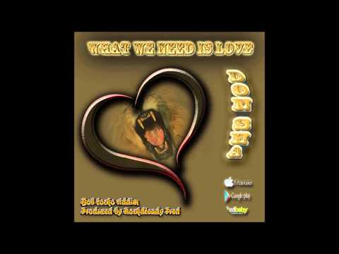 Don Sha - What We Need Is Love (Bob Locko riddim)