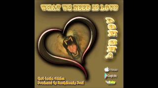 Don Sha - What We Need Is Love (Bob Locko riddim)
