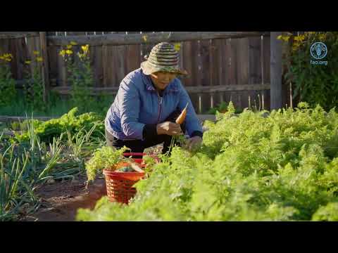 Better Nutrition for a Healthier Future: FAO’s Impact in Mongolia