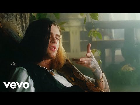 RØNIN - I JUST FKN HATE YOU NOW (Official Music Video)