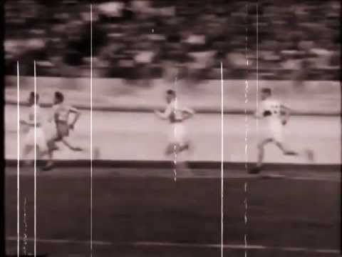 ZOON POLITICON  /// RUN