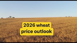 The outlook on wheat prices
