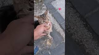仕事中の出来事