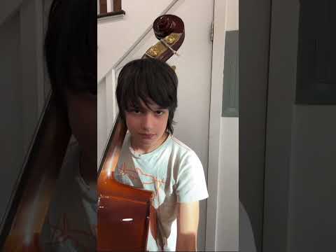Bruh! 😅 Double bass vs. Cello brother 🎻😂 #shorts
