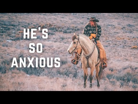 Mountain Riding with an Anxious Horse | What is Causing This?