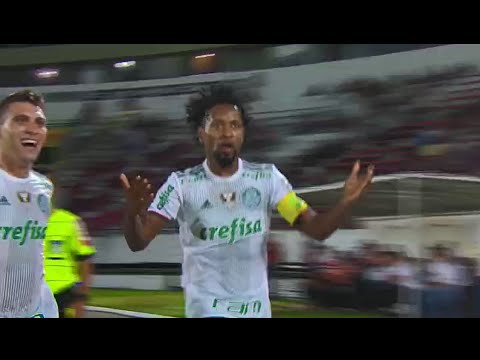 Santa Cruz 2x3 Palmeiras - Campeonato Brasileiro 2016