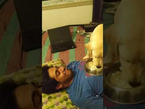 Mischa's Muri treat... Mischa is 5 months now..