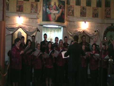 Corala Dominus   Intru o zi