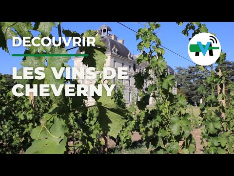 À la découverte des vins de Cheverny