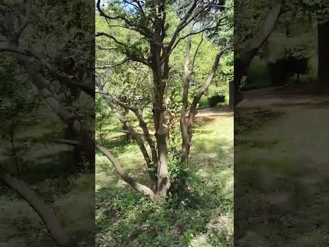 外装カーテンは、空間を装飾しながら保護するのに役立ちます。選び方はこちら！  庭園