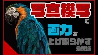 藝大生が写真模写して海を描けるようになる生放送【作業用】
