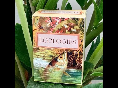 Ecologies how to and Review by Joseph Nicholas