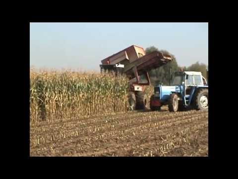 Loonw. Leeuwerck - Dikkebus - Hesston 7730