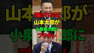 ㊗️60万回再生【山本太郎】自民党、小泉進次郎にブチギレる山本太郎。【れいわ新選組】#れいわ新撰組 #山本太郎 #政治