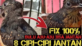 Download lagu Trotol bulu abu-abu mirip betina‼️bisa jadi jantan‼️di sini banyak rugi penangkar‼️fix 100% jantan‼️ mp3 Download lagu Trotol bulu abu-abu mirip betina‼️bisa jadi jantan‼️di sini banyak rugi penangkar‼️fix 100% jantan‼️ mp3