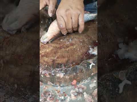 How to clean tilapia perfectly✅💯