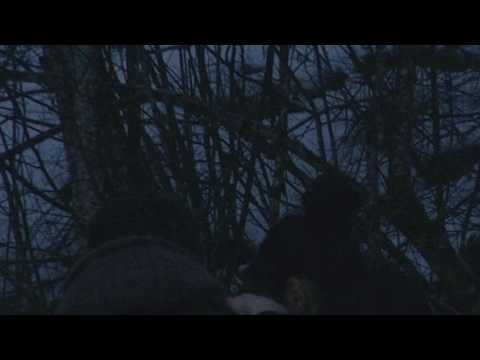 Dawncall // Memories