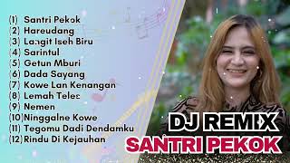 Download lagu FULL ALBUM DJ REMIX| Irenne Ghea - Santri Pekok - Haerudang mp3