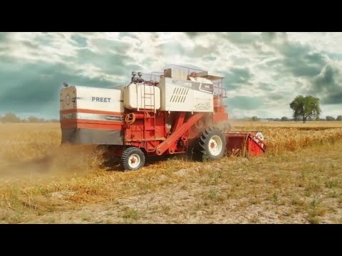Preet 987 Combine Cutting Barley crop in Rajasthan