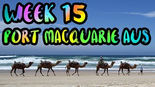 HAPPY BIRTHDAY Dorothy Seven AND Garrett Gee!! /// WEEK 15 : Port Macquarie, Australia