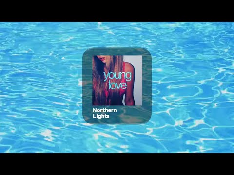 DANELIYA - northern lights (Lyric Video)