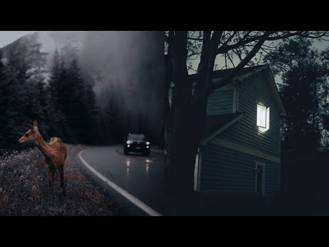 rainy night in Forks | twilight aesthetic