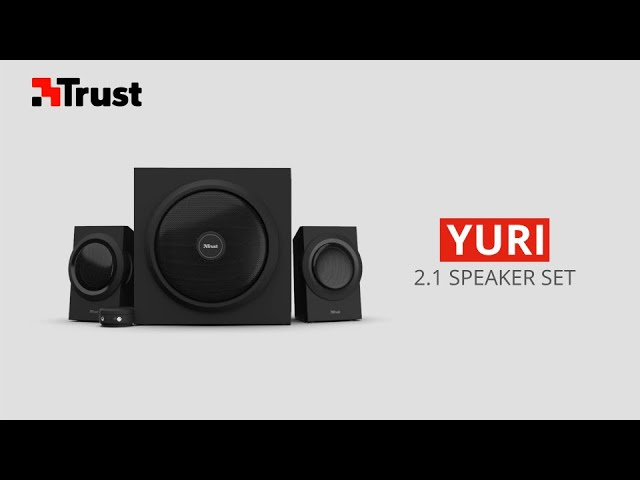 YouTube Video -