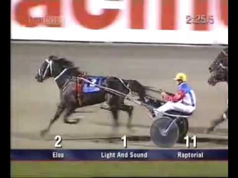 2003 New Zealand Derby
