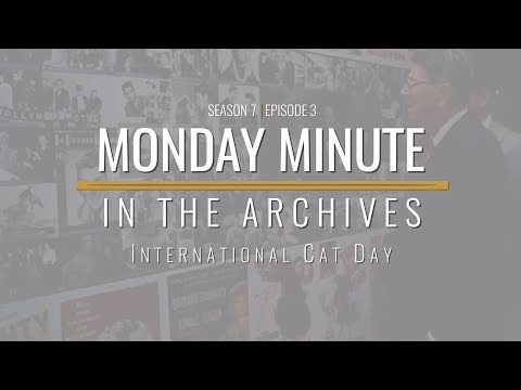 Monday Minute (Season 7) Ep 3 - International Cat Day