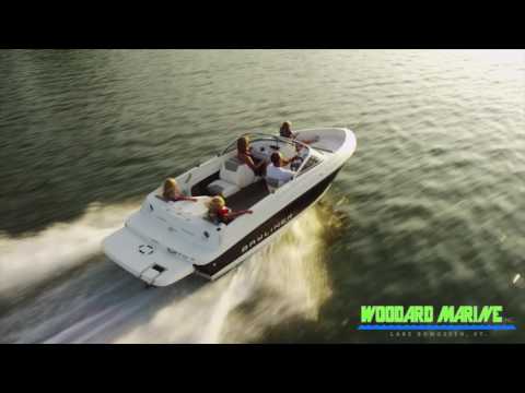 Woodard Marine 2017 Bayliner 175