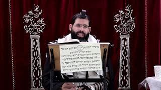 זבחים דף צ"א ע"ב ¤ הרב נתנאל אברז'ל ¤ בית הכנסת "בית מרדכי" (מוסדות תורת דוד) - התמונה מוצגת ישירות מתוך אתר האינטרנט יוטיוב. זכויות היוצרים בתמונה שייכות ליוצרה. קישור קרדיט למקור התוכן נמצא בתוך דף הסרטון