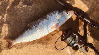 Сезон рыбалки когда на каспийском море
