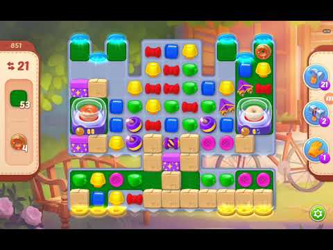 Homescapes Level 851