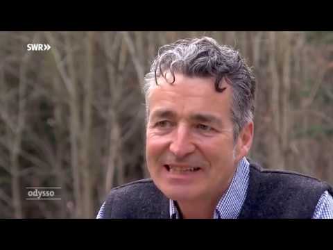 Odysso am 24. Mai 2018: Heilende Ernährung aus dem Wald