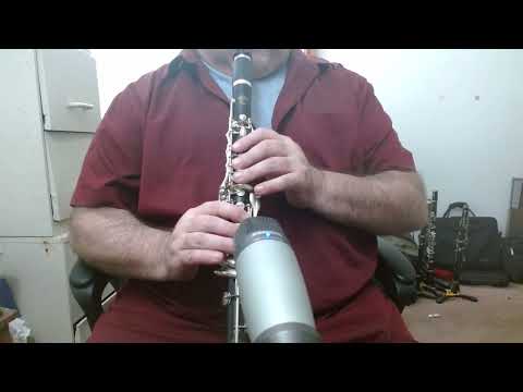 SELMER PARIS "L" SERIES Bb CLARINET - TRANSITIONAL BALANCED TONE - ARTICULATED G# - 7 RINGS - DEMO VIDEO - READY TO PLAY! image 25