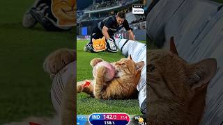 Video thumbnail image