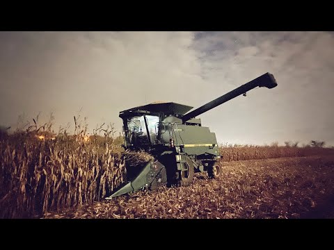 Ryan Harvests Corn | Capello Head Review
