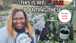 I Have Never Planted These Before!
