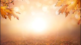 Что вас ждёт в Ноябре🍂🍀🌳