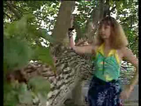 Biar Ku Sendiri - Ciptaan - Charles Hutagalung.flv